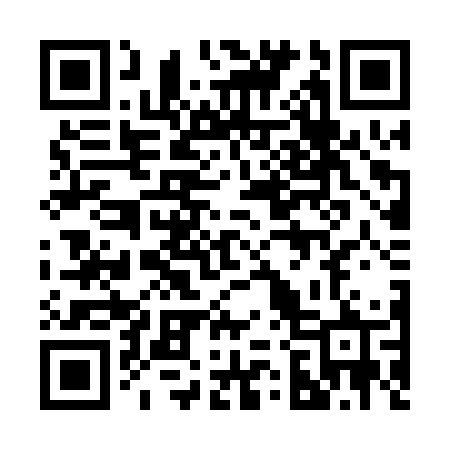 QR code for 225PWR