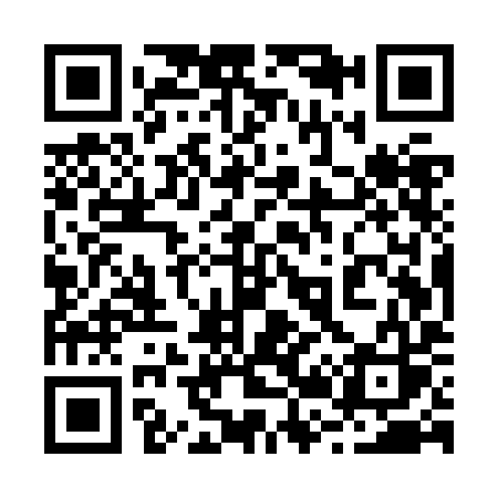 QR code for 225ZIS