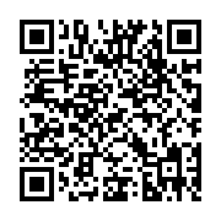 QR code for 228IZI