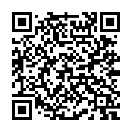 QR code for 228TDP