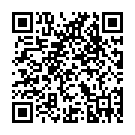 QR code for 228XMN