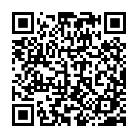 QR code for 234PTM
