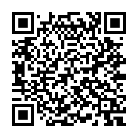 QR code for 238PVP