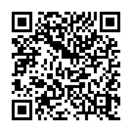 QR code for 241YEX