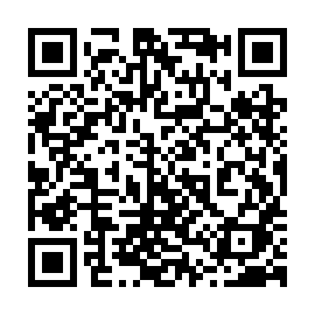 QR code for 249CHI