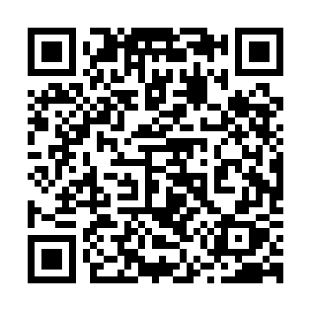 QR code for 250AGX