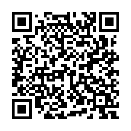 QR code for 250IMV