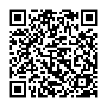 QR code for 250MWE