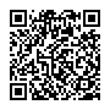 QR code for 250NQP