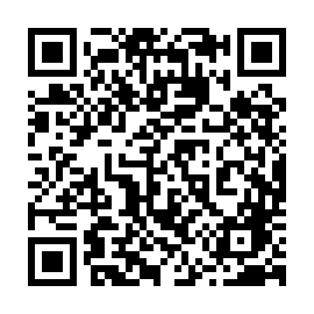 QR code for 250QDG