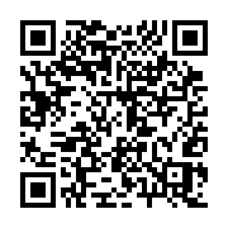 QR code for 253SES