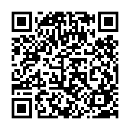 QR code for 255DID