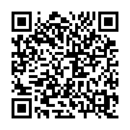 QR code for 256CHM