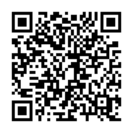 QR code for 256FSD