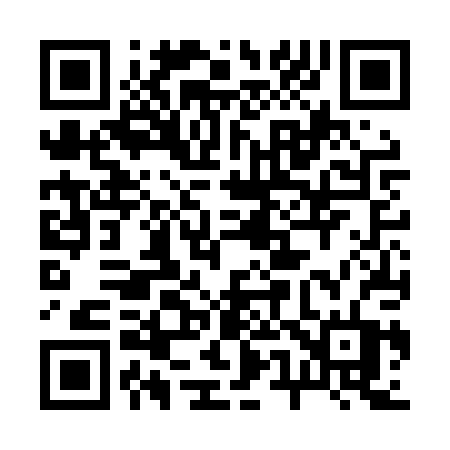 QR code for 256LPT