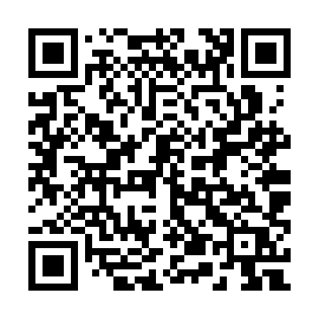 QR code for 256SHP
