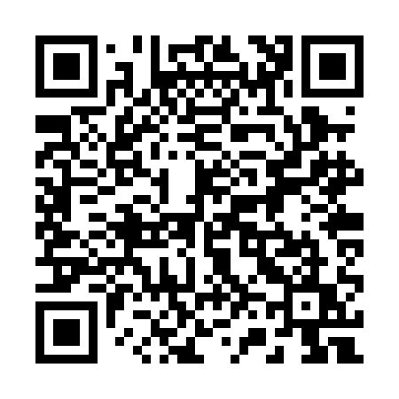 QR code for 262PAU