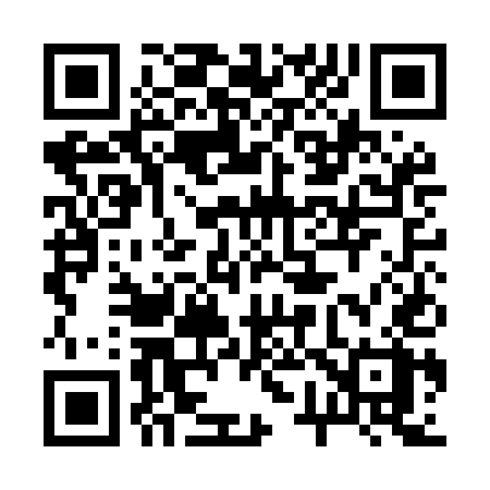 QR code for 271MEX