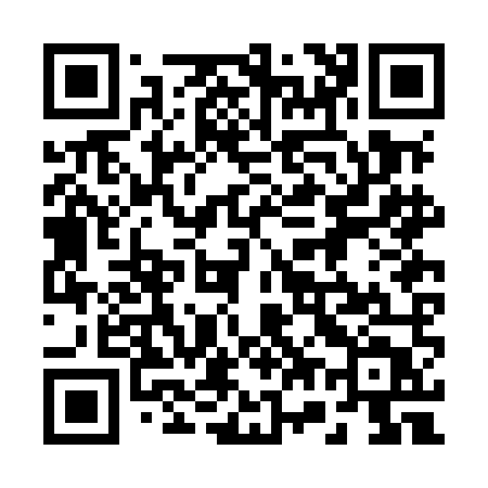 QR code for 272MMT