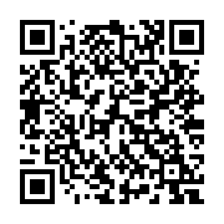 QR code for 272USM