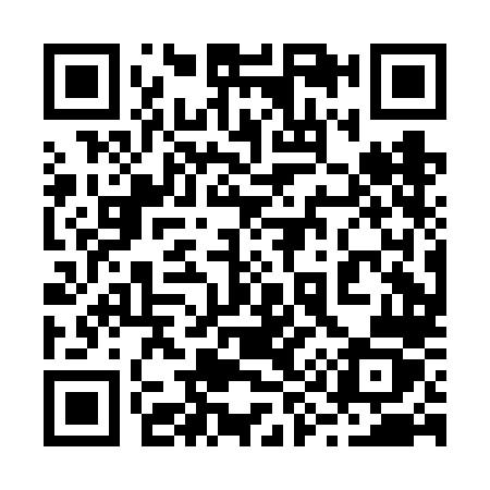 QR code for 290FLZ