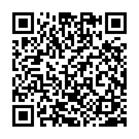 QR code for 290ICS