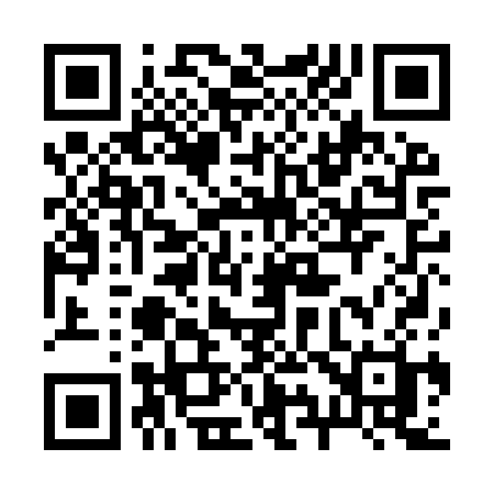 QR code for 290ISH
