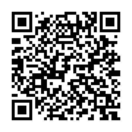 QR code for 290PAT