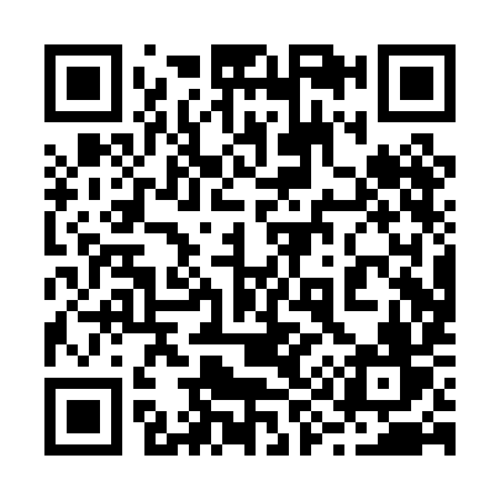 QR code for 290PIV