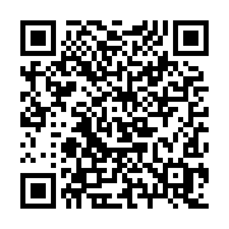 QR code for 290XIG