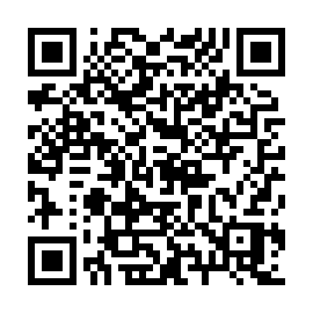QR code for 290XSR
