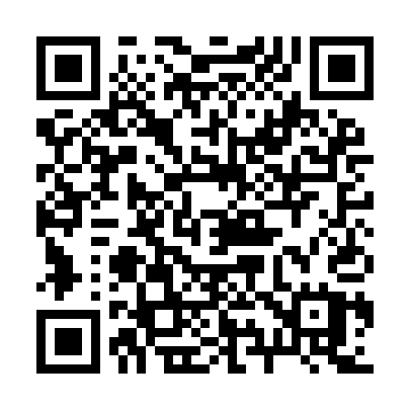 QR code for 291IAU