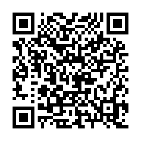 QR code for 291ICO