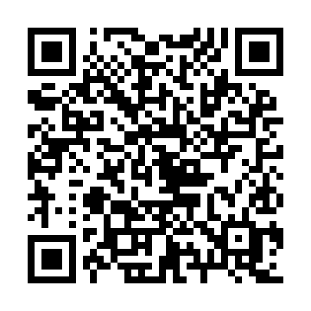 QR code for 291IID