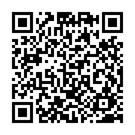 QR code for 291LSN