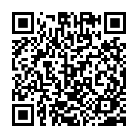 QR code for 291LUO