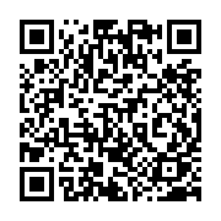 QR code for 291OIP