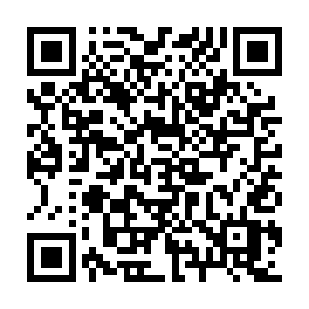 QR code for 291PET