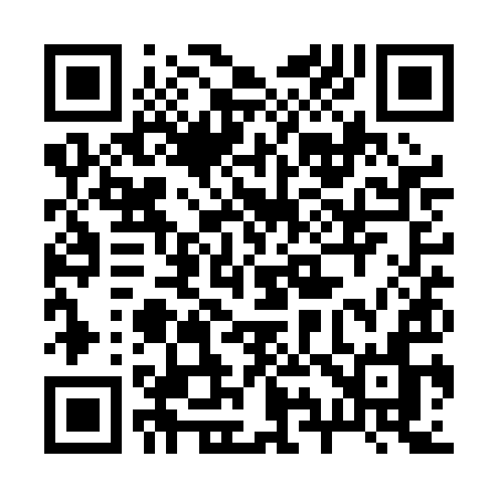QR code for 291PIN