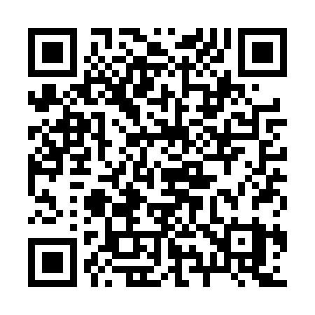 QR code for 291TRY