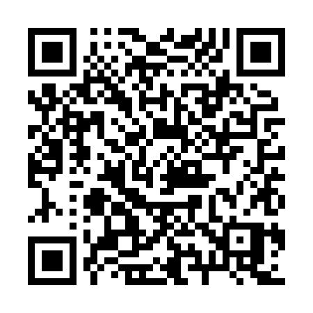 QR code for 291XXP