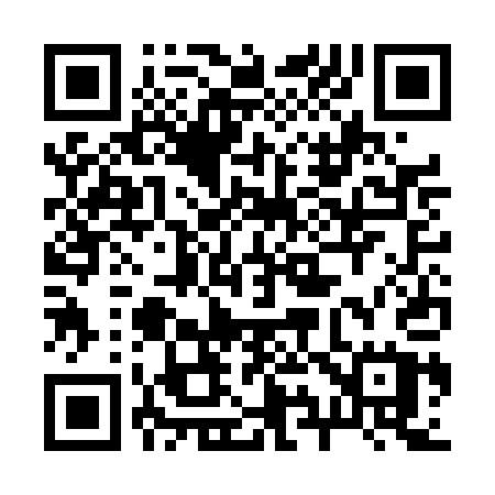 QR code for 293DAU