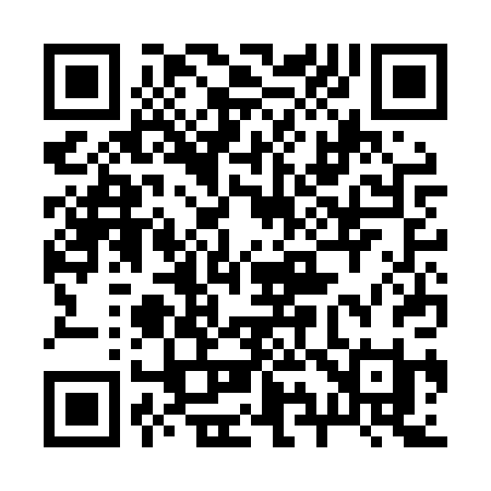 QR code for 293LPI