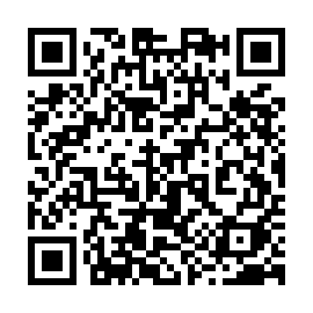 QR code for 293MEI