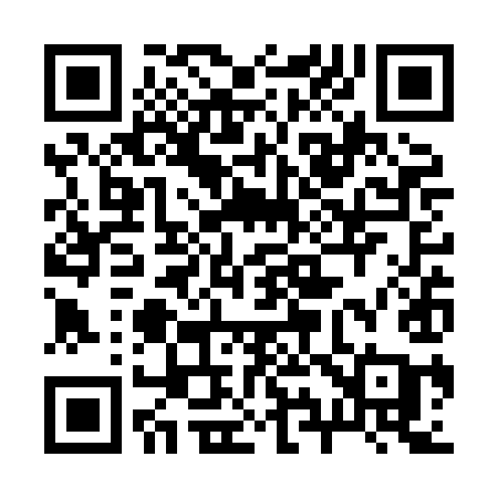 QR code for 293XIA