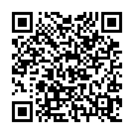 QR code for 294CIG