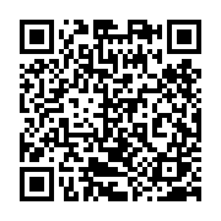 QR code for 294DES