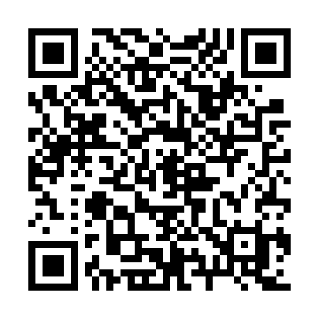 QR code for 294FSI