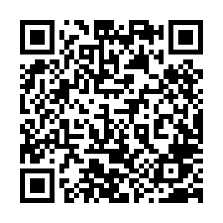 QR code for 294PLV