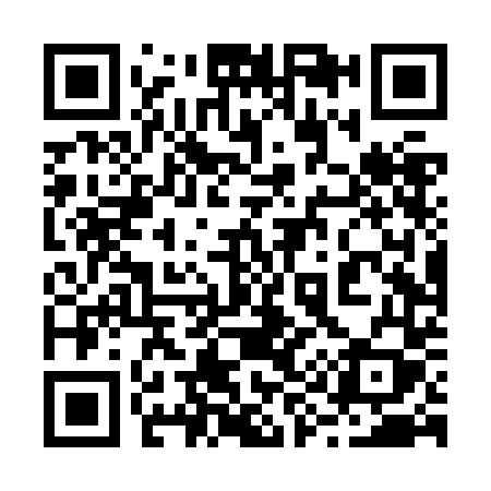 QR code for 294ZDY